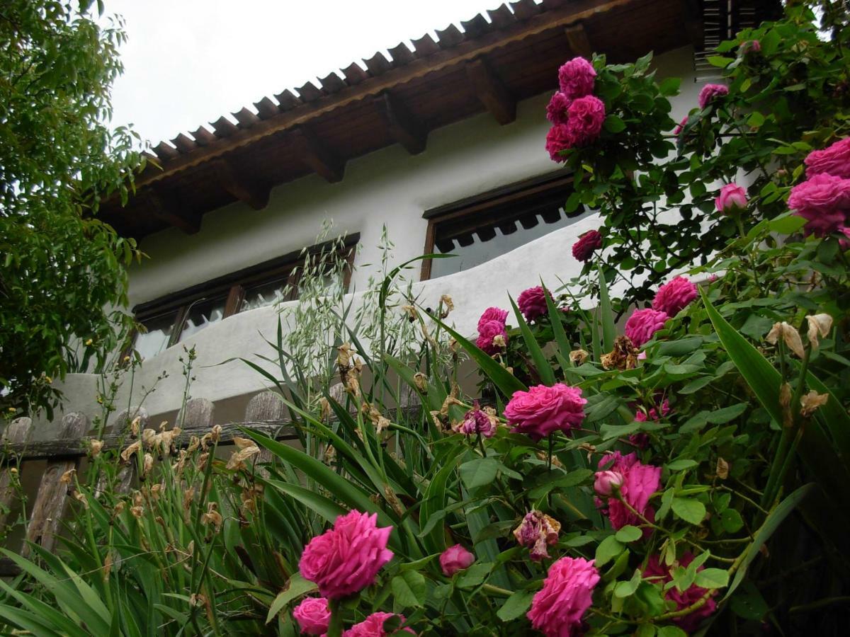 Ahijaderos De Tus Ferienhaus Yeste (Albacete)